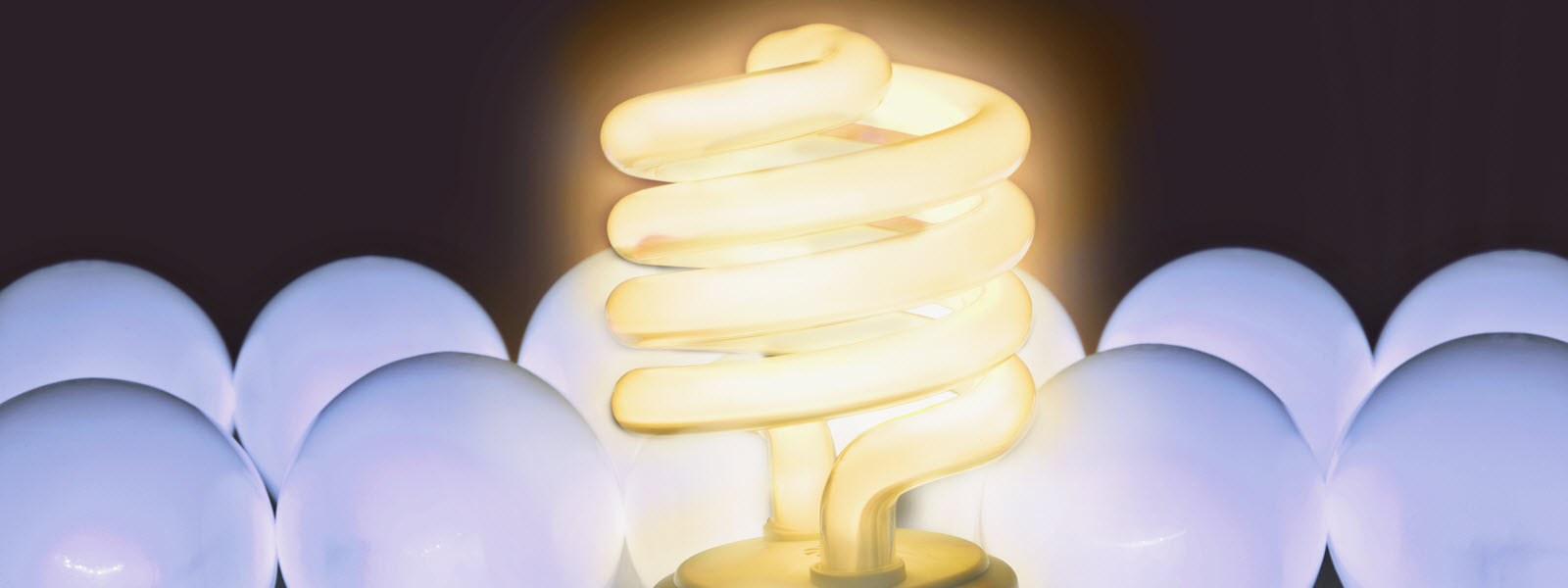 Global Wealth Managers – Dare To Be Different