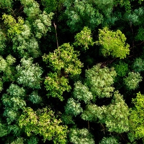 Climate Bonds Initiative