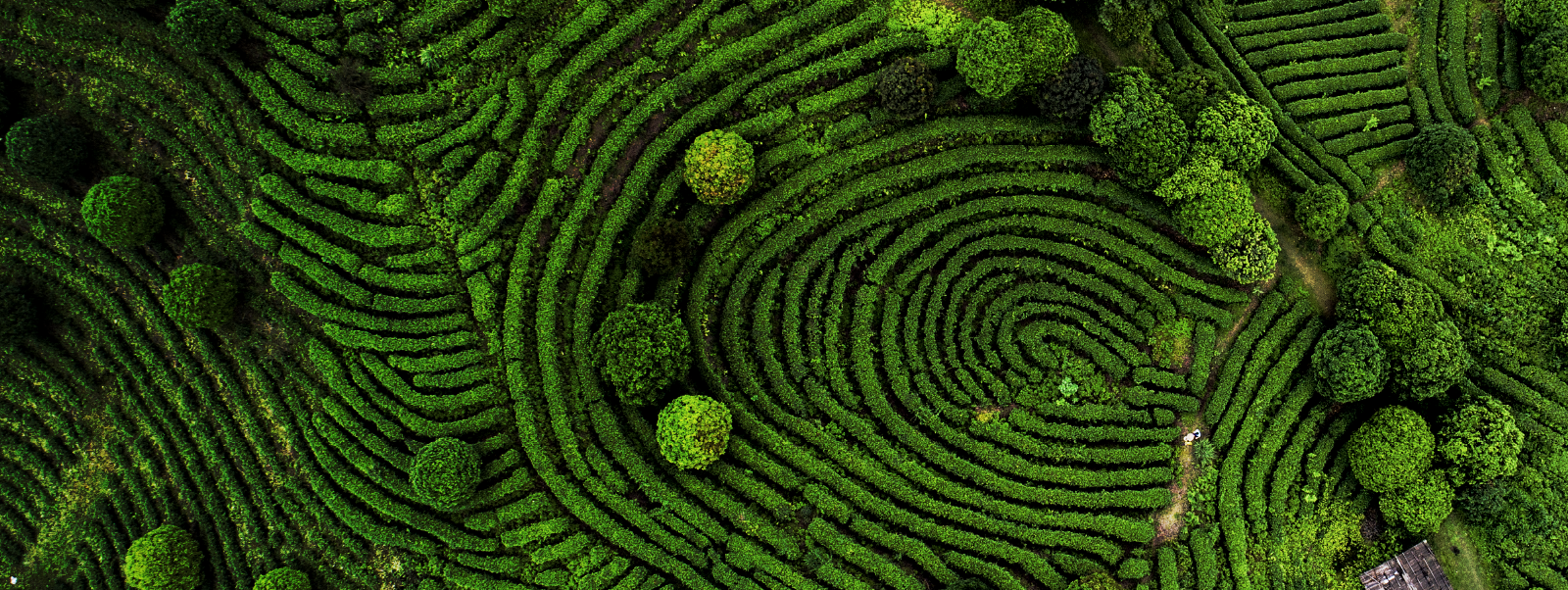 Global Fintech Hackcelerator 2022