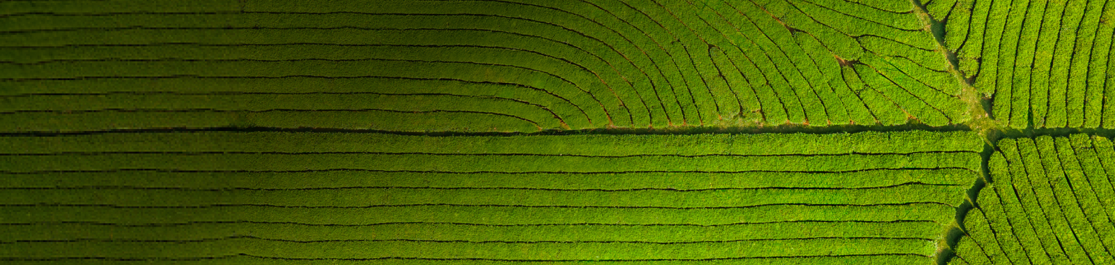 Powering The Growth Of Science-Based Climate Targets